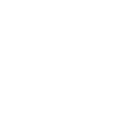 options icon pic